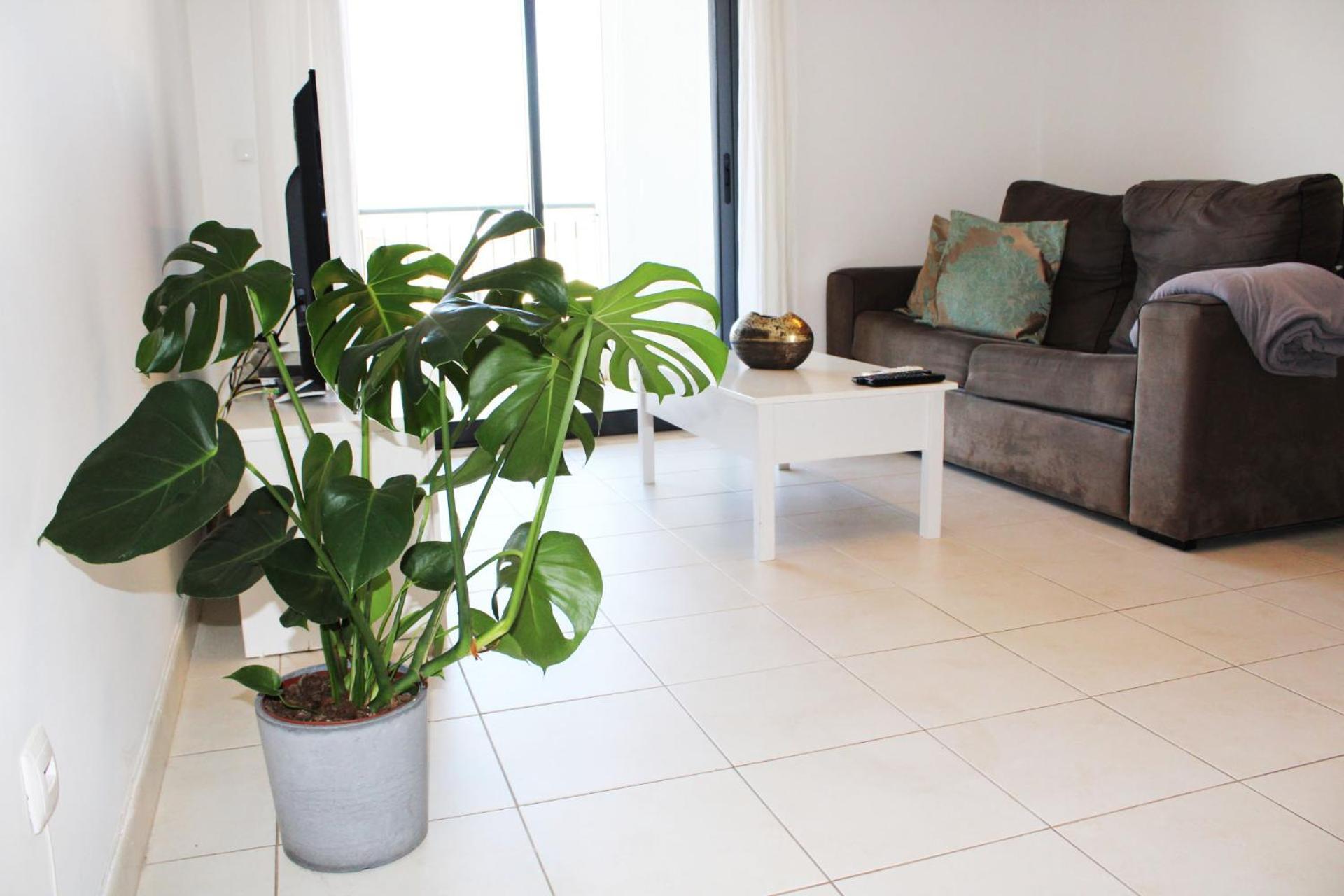 Apartment With Terrace Albufeira Olhos De Agua Exterior foto